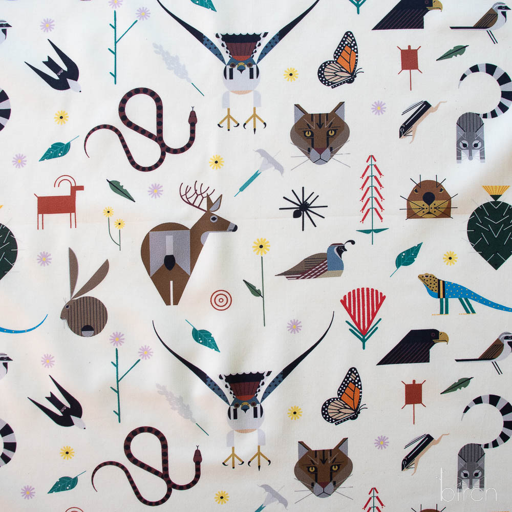 Canyon Critters